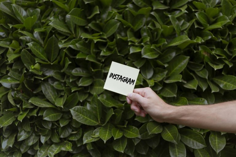 Building a Loyal Blog Audience: Strategies for Engagement and Growth 5 A hand holding a note with 'Instagram' against a lush green background of leaves.